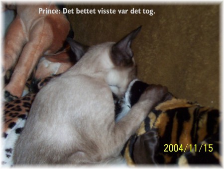 Prince